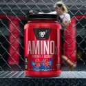 Aminoacido Amino X BSN